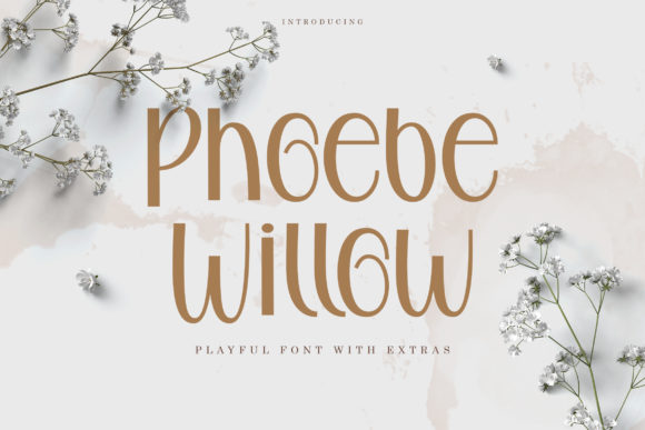 Phoebe Willow: A Sweet, Soft Script for Creative Design